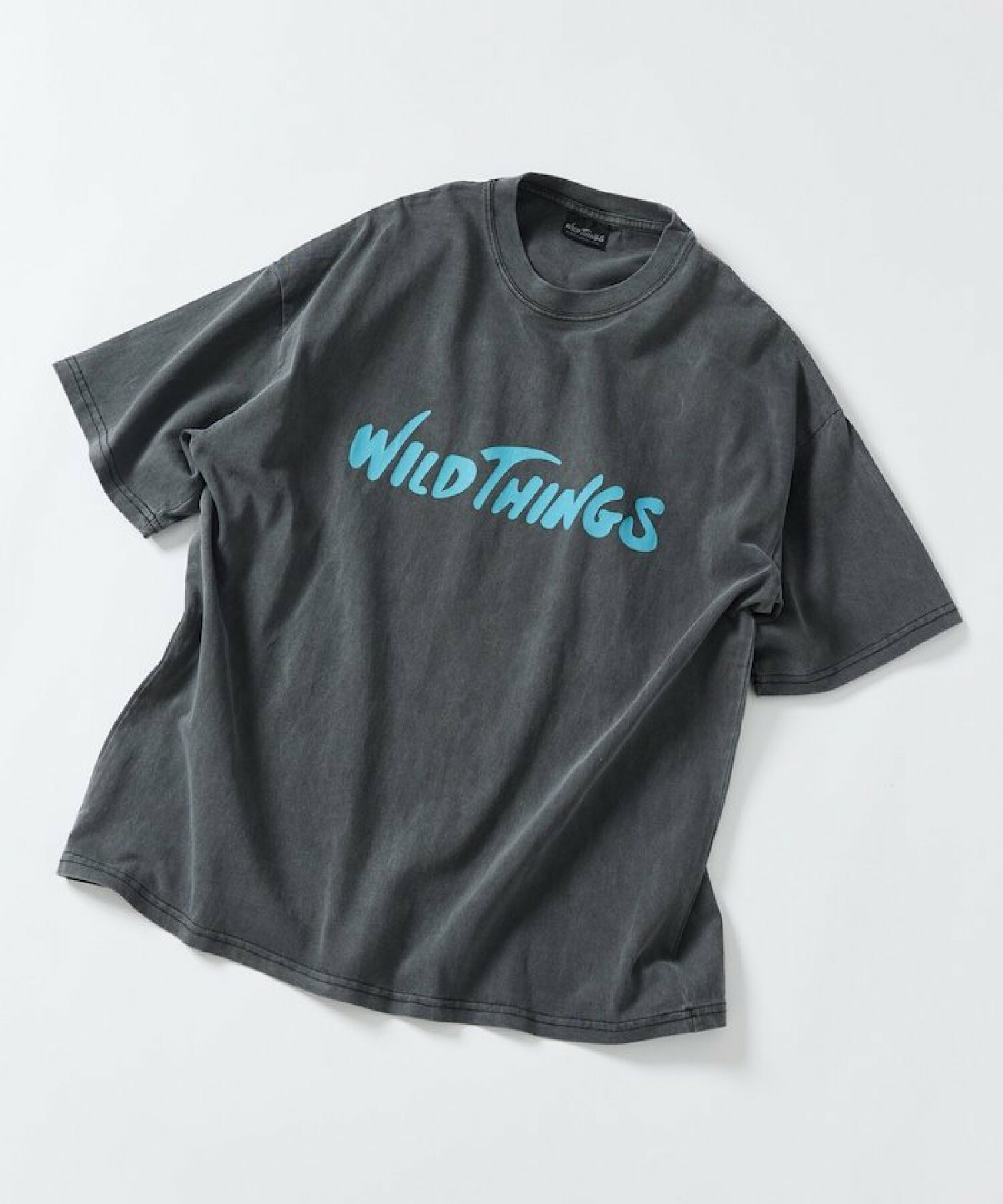 WILD THINGS×FREAK'S STORE ピグメントダイ ワンポイント ロゴプリント Tシャツ 【限定展開】